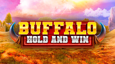 Buffalo Hold and Win